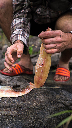 Delicious fillets